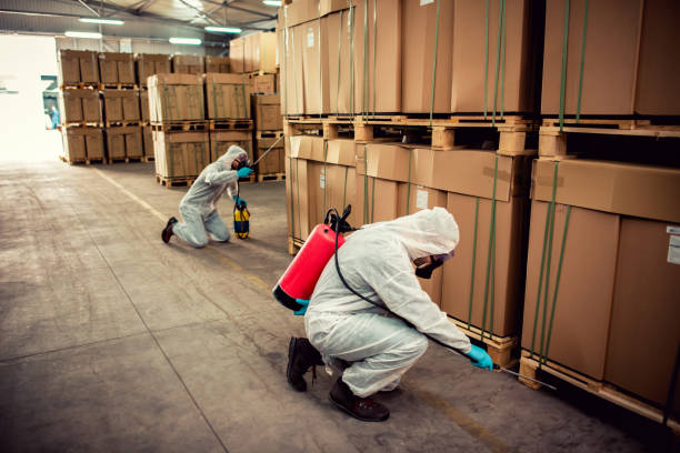 Best Residential Pest Control  in Danvers, IL