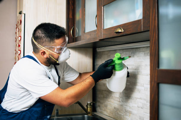 Best Best Pest Control Near Me  in Danvers, IL