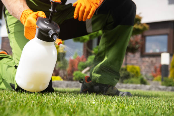 Best Best Pest Control Companies  in Danvers, IL