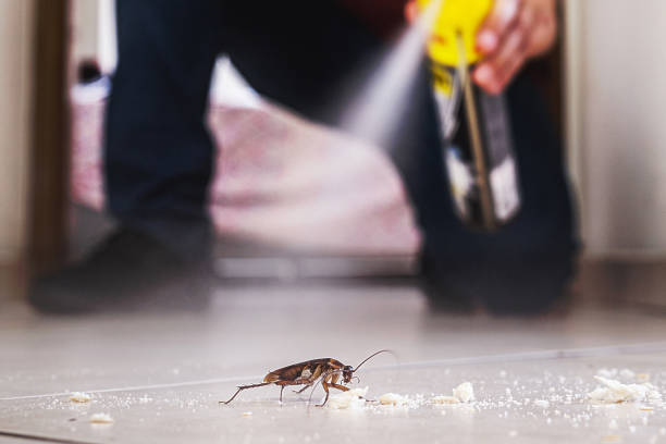 Best Pest Removal Services  in Danvers, IL
