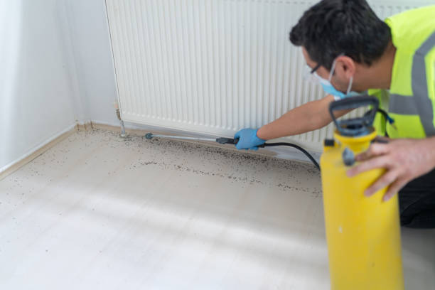 Flea Control Services in Danvers, IL