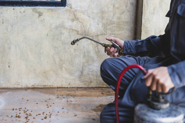 Pest Prevention Services in Danvers, IL