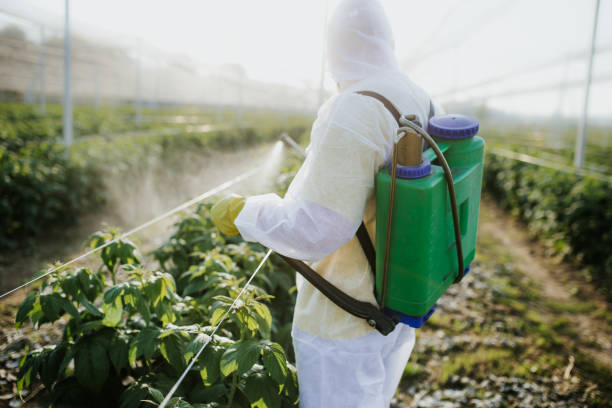 Best Cockroach Control Services  in Danvers, IL